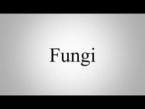 Learn How To Pronounce Fungi