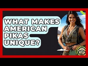 What Makes American Pikas Unique? - The Wild Life Explorer