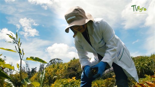 4.3K views · 113 reactions | NUEVO VIDEO | 齃 Banco de Germoplasma:...