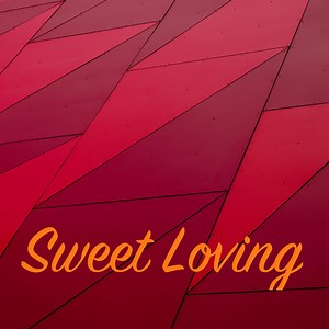 Drizzle Concert & Tour History (Updated for 2025) | Concert Archives