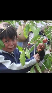 Noti Flash Guatemala on Reels