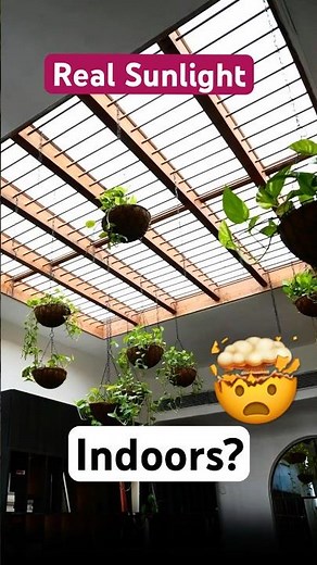 Artificial Sunlight Indoors? This Changes Everything!