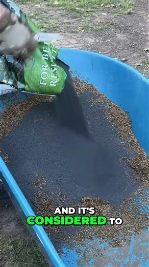 Boost Your Lawn: Pre-Soak Seeds with Milorganite! #shorts