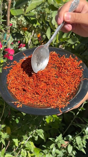 51K views · 536 reactions | Como usar la pepita de aguacate rallada en el huerto para mejorar su crecimiento | Fandreaito Plantas | Facebook