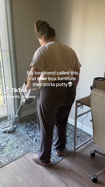 Cat Litter Box Furniture for Your First Apartment