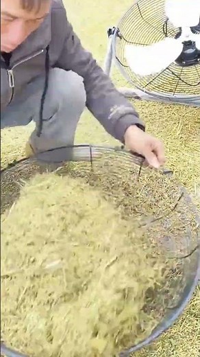 This is the process of filtering straw using used iron from a fan.