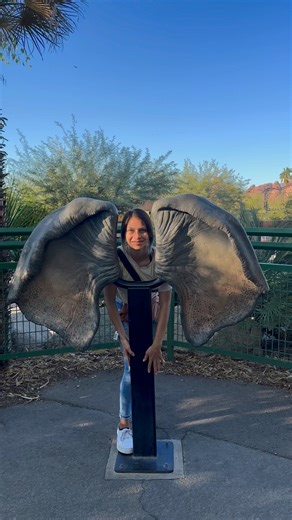 9.7K views · 588 reactions | Learn how to sign “elephant ” in ASL & LSM | ASL & LSM | Facebook