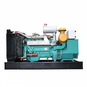 [Hot Item] High Efficiency Coke Oven Gas Industrial Exhaust Gas Syngas Producer Gas Power Generator