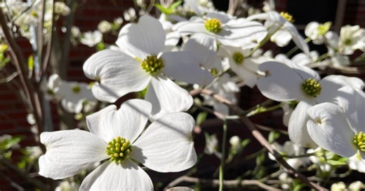 See how warm and dry Florida's spring could be