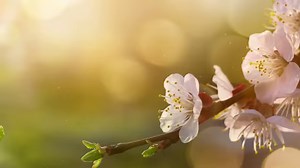 50K views · 128 reactions | Don't bring any resentment with you into...