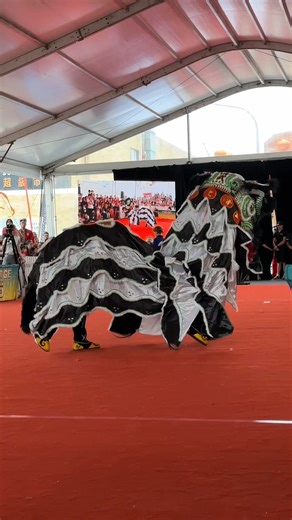 From Perth, the Ging Mo Academy, who travelled 3,900 kms to compete, stormed the arena, ready to claim the title! Come on down and join us at the National Lion Dance Competition! 📅 Today | Traditional | until 6pm�📍 6 Hughes Street, Cabramatta 🦁 For the full program, visit:�www.discoverfairfield.com.au/NLDC #LionDanceAustralia #NationalLionDanceCompetition #LionDanceCompetition #AustralianLionDance #feelnsw #cabramatta #CelebrateCulture #WhatsOnSydney Funding for this project has been provided