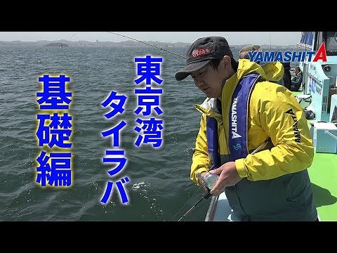 Tokyo Bay Tairaba - Basics of Fishing