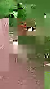 19K views · 163 reactions | Meet the Golden Tortoise Beetle...