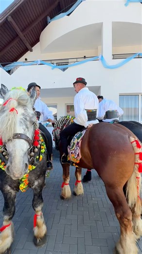 48K views · 1.2K reactions | Nuntă în Maramureș #viralreels #reelsvideo #reelsfb #explorepage #news #nunta #nunta2025 #maramures #maramuresplaicuflori | Constantin Pitic | Facebook