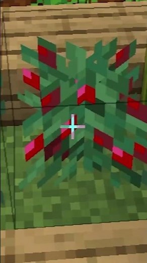 My Minecraft house is really weird... - FuzeIII