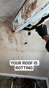 Hidden Danger in Your Roof: Timber Decay & Structural Movement UNCOVERED