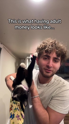 Meet Layla, the Typing Tuxedo Cat | Funny and Adorable Cat Videos