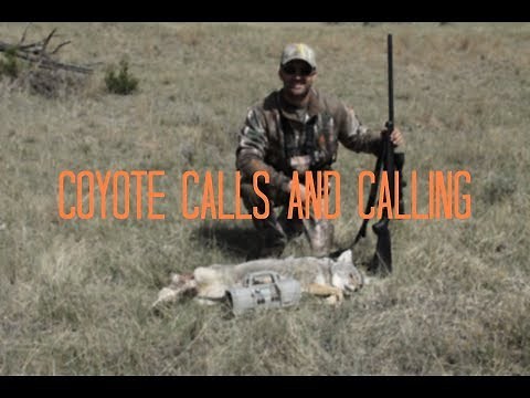Coyote Calls and Calling | FOXPRO Coyote Calls
