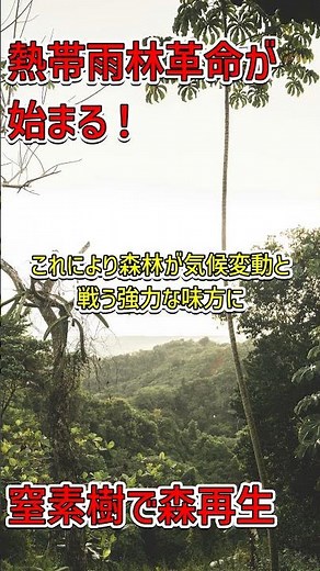 熱帯雨林再生の救世主！窒素固定樹木の力 #環境保護 #気候変動 #科学発見
