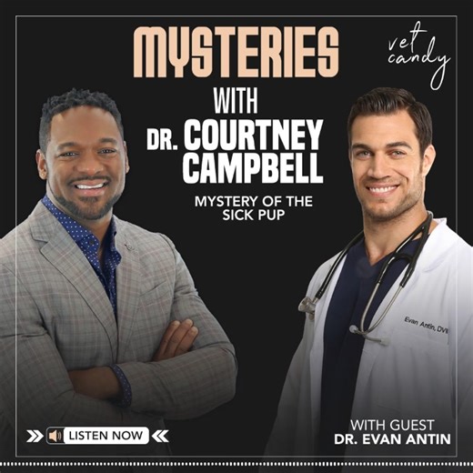 Medical mystery solved: Dr. Evan's Unbelievable Medical Mystery Unveiled on Mysteries with Dr. Courtney!" 🤯🔍🐾 A big shoutout to our sponsor, NexGard® PLUS (afoxolaner, moxidectin, and pyrantel chewable tablets) for making this episode possible! Join us for a captivating episode of "Mysteries with Dr. Courtney Campbell, DVM, DACVS-SA" as we dive deep into the fascinating world of veterinary puzzles. 🐶 Our curious host, Dr. Courtney, teams up with the renowned veterinarian and wildlife expert,