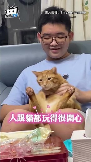 [Completely cuddly and cooperative] Orange cat gets its paws raised high by its owner for a "seaw...