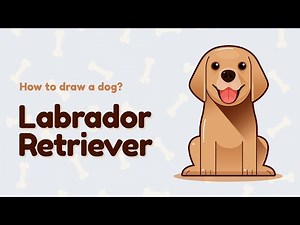How to draw a dog - Labrador Retriever? Easy and simple drawing | Animal character design tutorial
