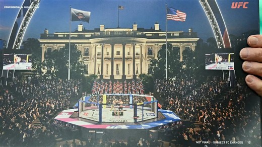 UFC Freedom 250 tickets: Dana White explains restrictions for White House event