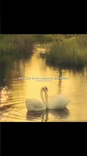 ami dur hote tomarei dekhechi #lyrics #lyrics_whatsapp_status #ytshorts #shortfeed #viral