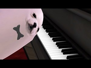 eggdog pianist