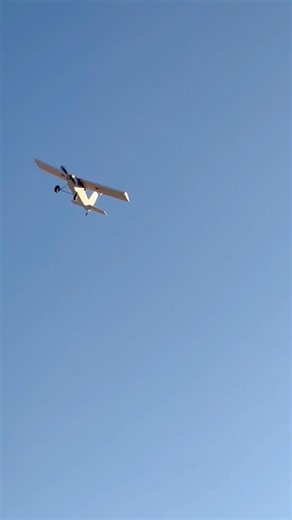Maiden Flight of Foam-board RC Bush Plane.