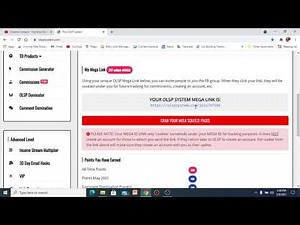 HOW TO USE YOUR OLSP SYSTEM MEGA LINK