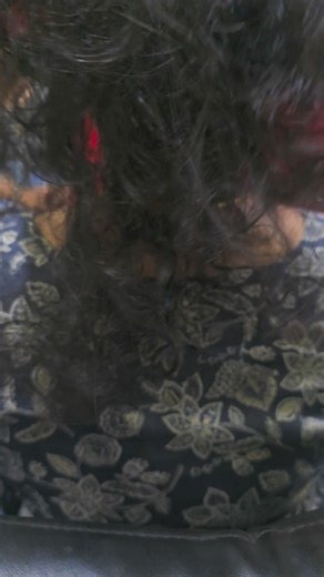 Mi Estilo on Instagram: "Mi Estilo unisexsalon, sasthamangalam, Trivandrum 9947446555,customized Hair cut, facials, mani, pedi, waxing, Threadding, hair treatments, Origibal brazilan treatments, botox, keratin, nanoplastia, dandruff treatments, spa pedicure, wats remove, international facials, etc. Free consultation for hair and skinFree consultation for hair and skin#lashes #selfie #cosmetics #photoshoot #likeforlikes nails me skin skincareroutine portrait explorepage followme selfcare explore