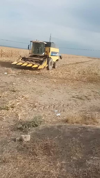 Combine Harvester in Action: Crop Processing Innovation