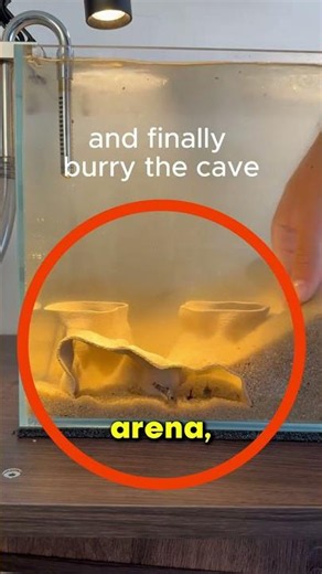 THIS IS HOW YOU SHOULD TAKE CARE OF YOUR FISH!! 😯