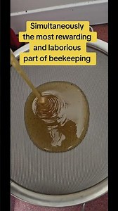 🍯 Honey Extraction #BeeKeeperLife #HoneyHarvest #beekeeping #BeekeepingUK #SatisfyingVideos