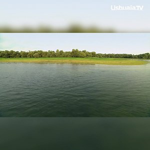 🌳Ce soir, ne manquez pas "Au cœur du Parc Naturel Régional : Forêt d'Orient" à 20h40 sur Ushuaïa TV ! 🔥Et découvrez les premières minutes dès maintenant ⏬⏬ | Ushuaïa TV