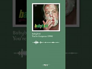 Babybird - You 're Gorgeous (1996) | Lyrics