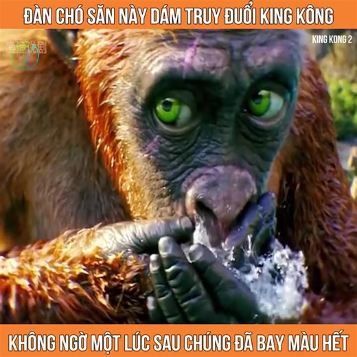 King Kong: A Battle for Survival