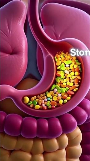 Your Digestive System Like Never Seen Before | 3D Body #healthshorts #aftereffects