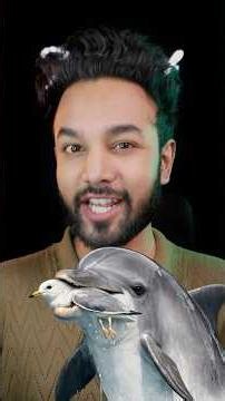 How Smart Can a Dolphin Be