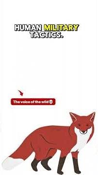 🎥 Watch till the end to see why wolves truly are the Kings of the Wild!#Wolf #Wildlife #AnimalFacts