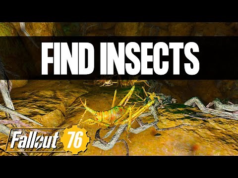 Fallout 76 Insects | Find Insects for Challenges in Fallout 76