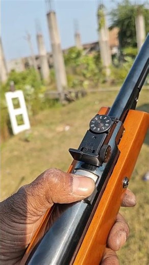 Sdb Panther Underlever Air Rifle 💥 Shoot💀