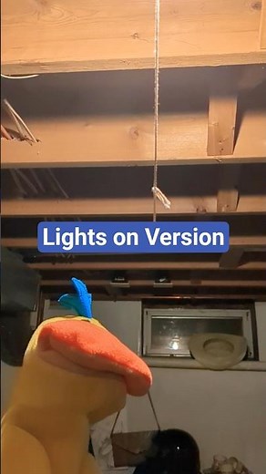 Baby Van Gogh Puppet Show Remake - Duck Turns on the Lights