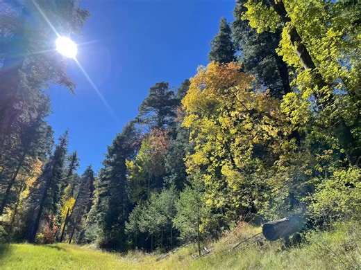 Mt. Lemmon Ski Valley on Reels