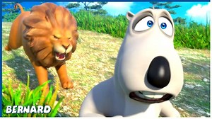 59K views · 2.1K reactions | Photographer | Bernard | 110'...