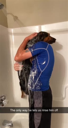 When ur k9 partner gets sprayed by a skunk #k9life | k9 dogs
