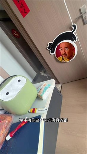 那日倚梅园初遇 你说你是余咪儿 #甄嬛传 #甄嬛传十级观众 #莞莞类卿 #猫 #替身文学照进现实