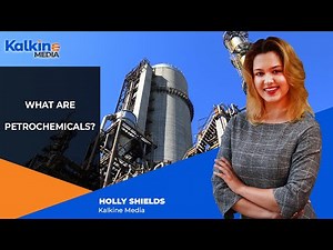 What are Petrochemicals ?