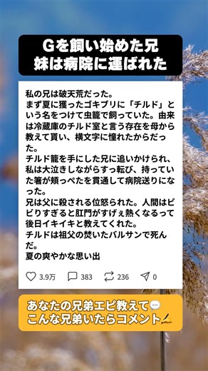 ゴキブリに「チルド」と名付けた兄 その夏妹が病院送りになった理由 #子育てあるある #男の子育て
